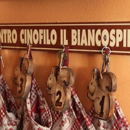 Вілла Il Biancospino Casteggio Екстер'єр фото